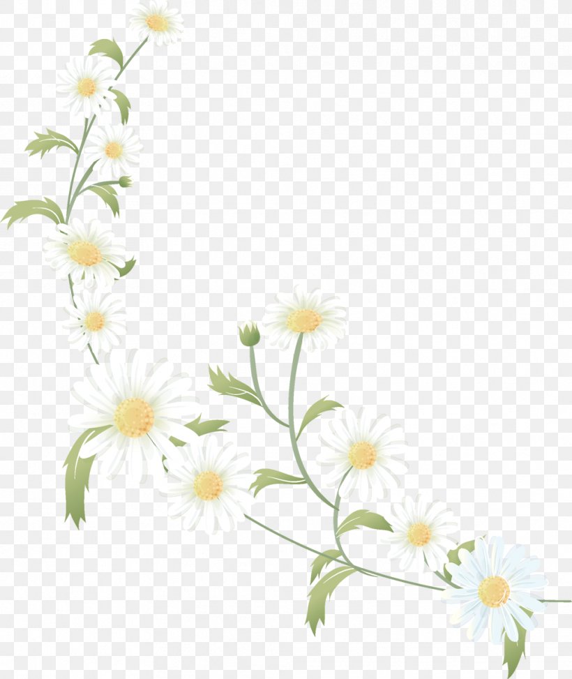 Flower Desktop Wallpaper Clip Art, PNG, 1011x1200px, Flower, Blossom, Branch, Chamaemelum Nobile, Computer Software Download Free