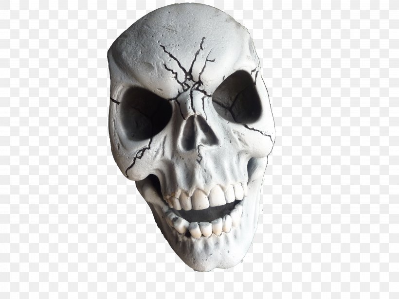 Skeleton Skull Desktop Wallpaper, PNG, 3648x2736px, Skeleton, Bone, Head, Headgear, Jaw Download Free