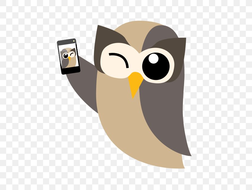 Social Media Hootsuite Social Networking Service LinkedIn, PNG, 618x618px, Social Media, Beak, Bird, Bird Of Prey, Eyewear Download Free