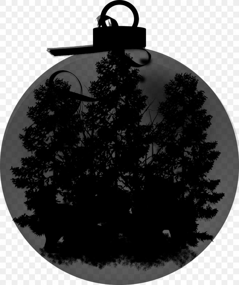 Fir Christmas Tree Christmas Ornament, PNG, 1000x1192px, Fir, Black, Black M, Branch, Christmas Download Free