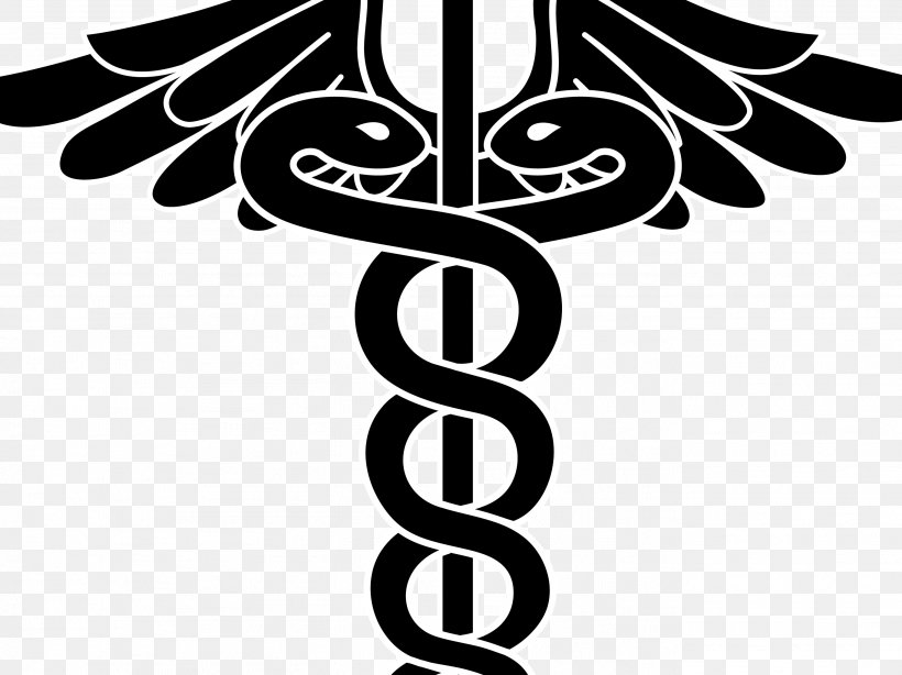 Logo Physician Staff Of Hermes Clip Art, PNG, 2733x2049px, Logo, Artwork, Black And White, Brand, Caduceus As A Symbol Of Medicine Download Free