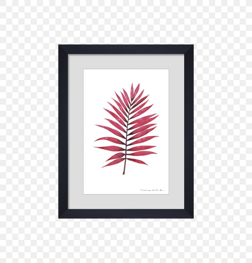 Picture Frames Leaf Line, PNG, 570x855px, Picture Frames, Feather, Leaf, Picture Frame, Rectangle Download Free