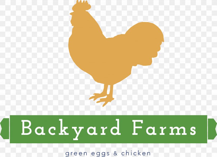 Rooster Chicken Logo Farm Livestock, PNG, 3903x2840px, Rooster, Apiary, Backyard, Backyard Farms, Beak Download Free
