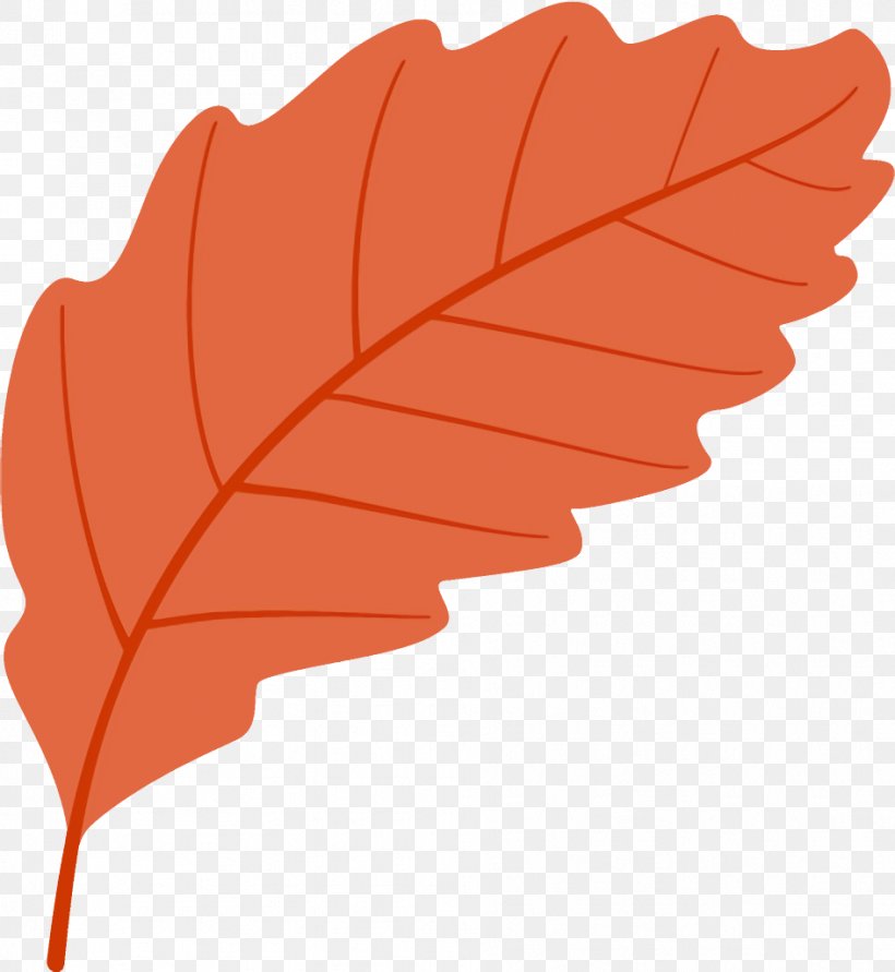 Autumn Leaf Fallen Leaf Dead Leaf, PNG, 944x1026px, Autumn Leaf, Dead Leaf, Deciduous, Fallen Leaf, Leaf Download Free