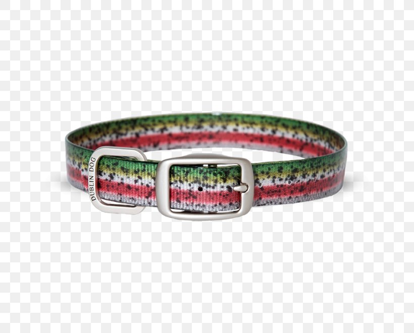 Dog Collar Rainbow Trout Pet, PNG, 660x660px, Dog, Belt Buckle, Bracelet, Brook Trout, Collar Download Free