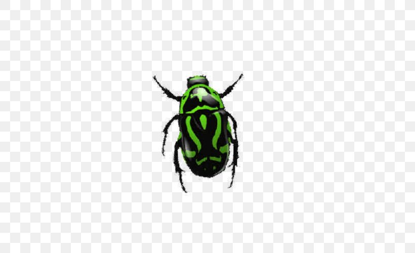 Insect Icon, PNG, 500x500px, Insect, Arthropod, Beetle, Clipping Path, Display Resolution Download Free