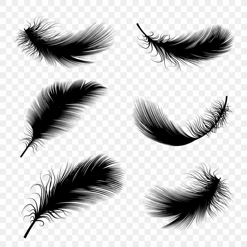 Bird Feather Drawing Illustration, PNG, 2083x2083px, Bird, Black And White, Black Hair, Close Up, Drawing Download Free