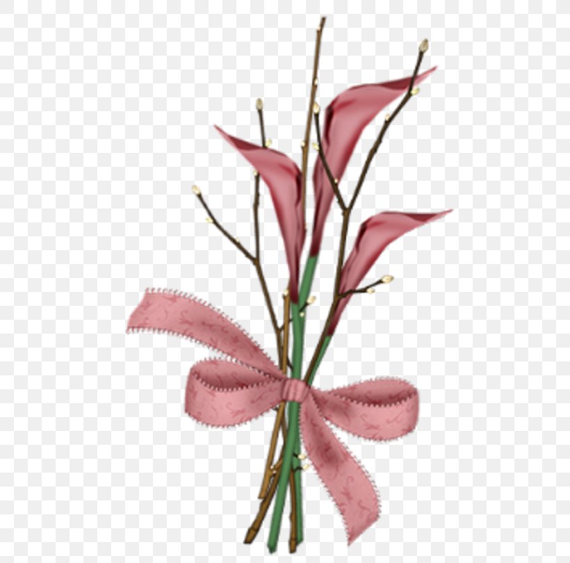 Floral Design Cut Flowers Plant Stem Pink M, PNG, 500x810px, Floral Design, Cut Flowers, Flora, Floristry, Flower Download Free