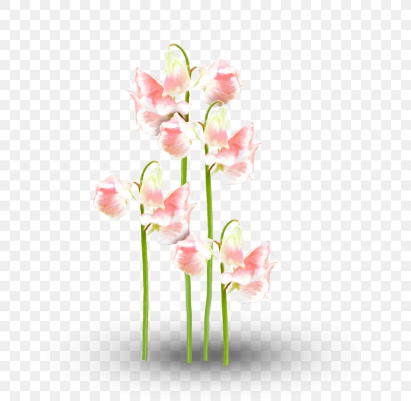 Floral Design Flower Motif Pattern, PNG, 662x800px, Floral Design, Artificial Flower, Blossom, Branch, Cut Flowers Download Free