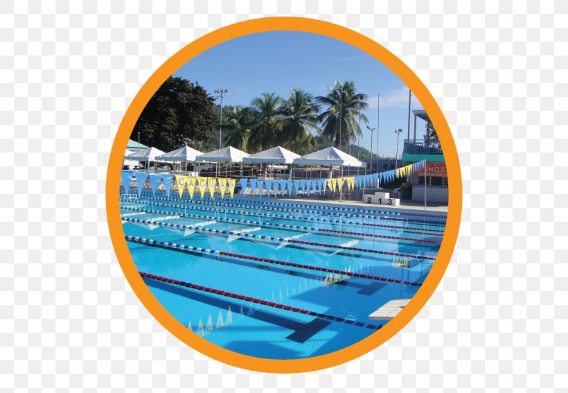 Swimming Pool Piscina De Caguas Recreation Leisure Png 553x567px Swimming Pool Caguas Leisure Leisure Centre Natatorium