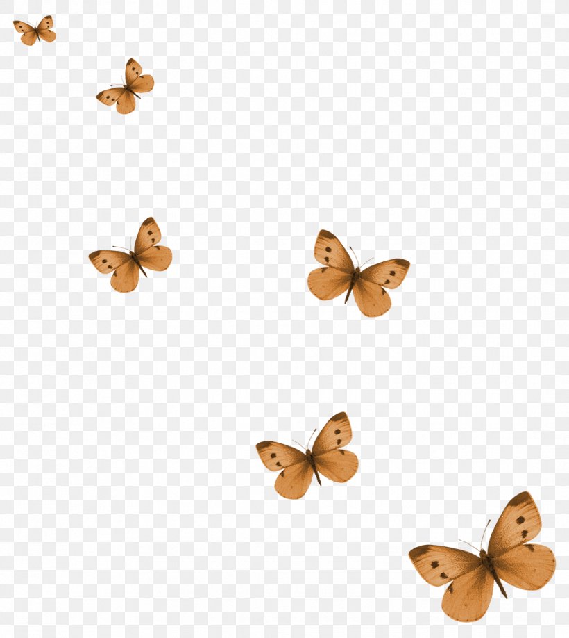 Butterfly Clip Art, PNG, 1083x1213px, Butterfly, Brush Footed Butterfly, Butterflies And Moths, Color, Drawing Download Free