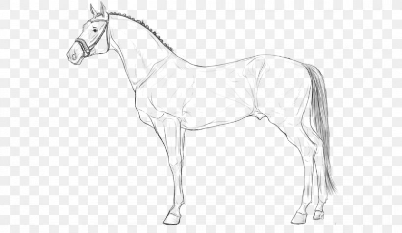 Hanoverian Horse Line Art Lusitano Pony Stallion, PNG, 1172x682px, Hanoverian Horse, Animal Figure, Artwork, Black And White, Bridle Download Free