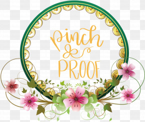 Pinch Proof St Patricks Day Saint Patrick PNG