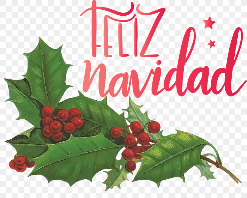 Feliz Navidad Merry Christmas, PNG, 3000x2407px, Feliz Navidad, Christmas And Holiday Season, Christmas Day, Christmas Gift, Christmas Ornament Download Free