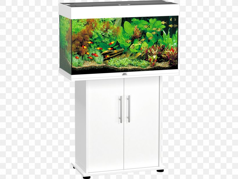 Aquariums Juwel Tropical Fish Aquarium Lighting, PNG, 1600x1200px, Aquarium, Aquarium Filters, Aquarium Lighting, Aquariums, Aquascaping Download Free