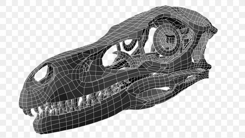 Reptile Automotive Design Car, PNG, 1920x1080px, Reptile, Automotive Design, Black And White, Bone, Car Download Free
