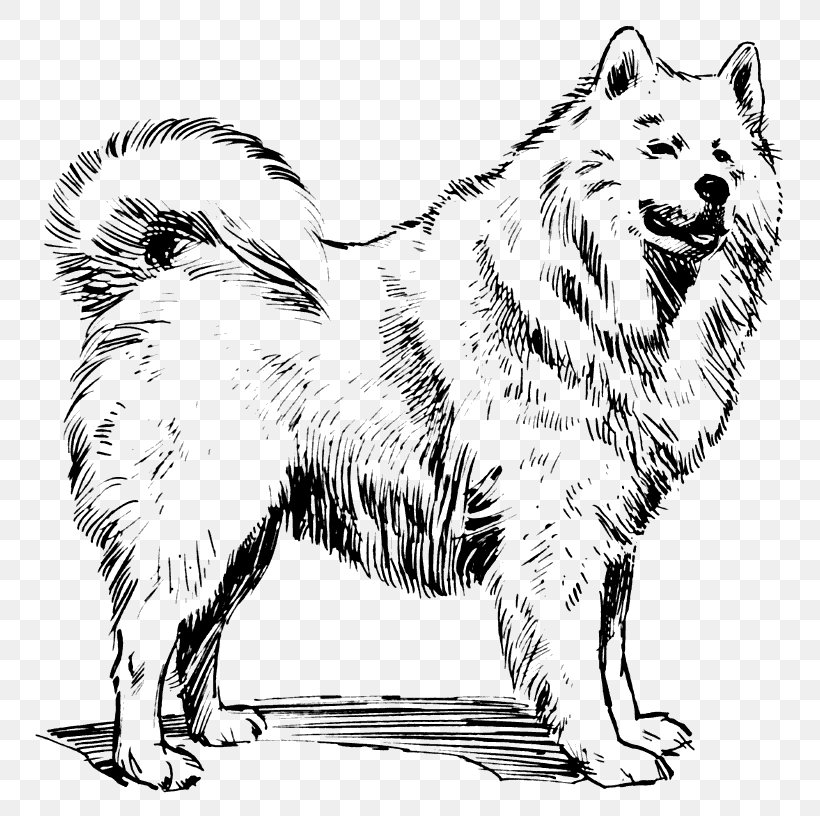 Samoyed Dog Alaskan Malamute Akita Dog Breed Clip Art, PNG, 800x816px, Samoyed Dog, Akita, Alaskan Malamute, Ancient Dog Breeds, Artwork Download Free