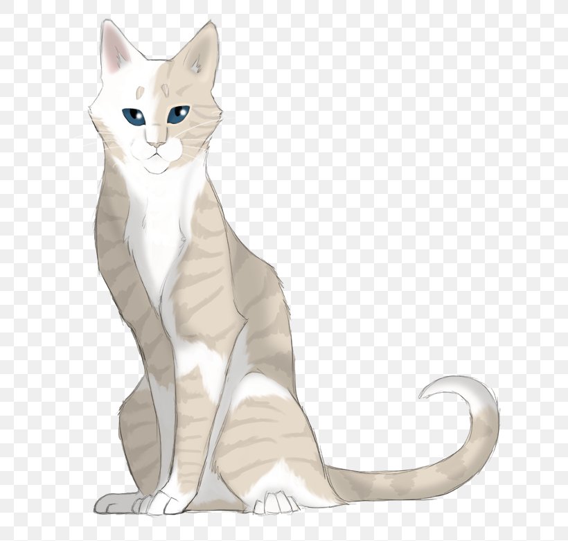Whiskers Kitten Domestic Short-haired Cat Tabby Cat, PNG, 648x781px, Whiskers, Carnivoran, Cat, Cat Like Mammal, Cats Of The Clans Download Free