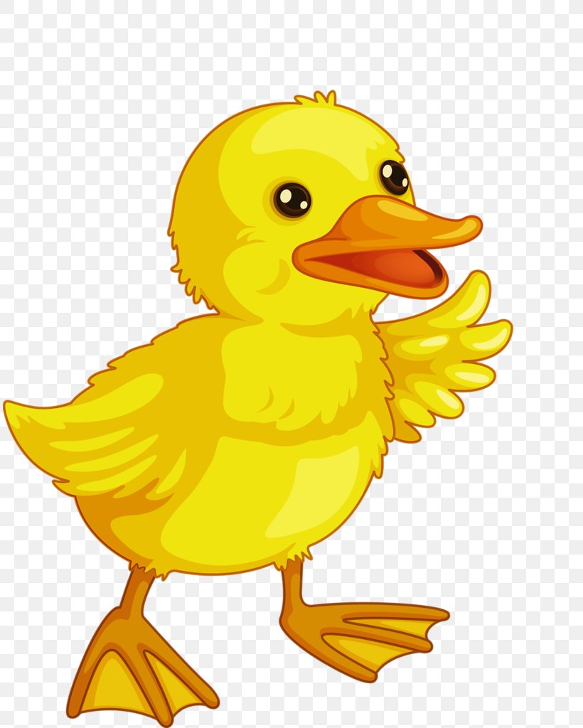 Baby Ducks Baby Duckling Drawing Clip Art, PNG, 812x1024px, Duck, Baby Duckling, Baby Ducks, Beak, Bird Download Free