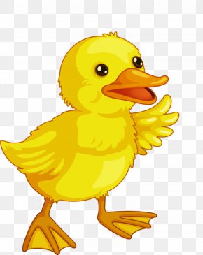 Baby Ducks Rubber Duck Infant Clip Art, PNG, 650x965px, Duck, Artwork ...