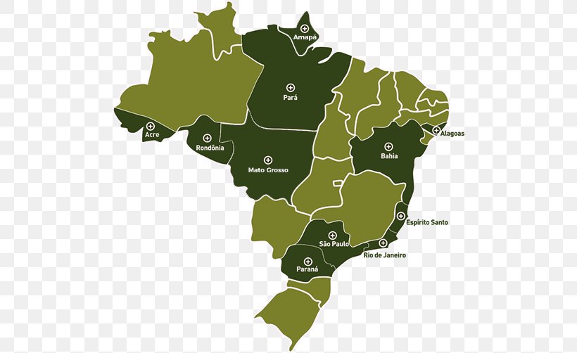 Brazil Stock Photography Vector Graphics Royalty-free Illustration, PNG, 500x502px, Brazil, Map, Plant, Royaltyfree, Stock Photography Download Free