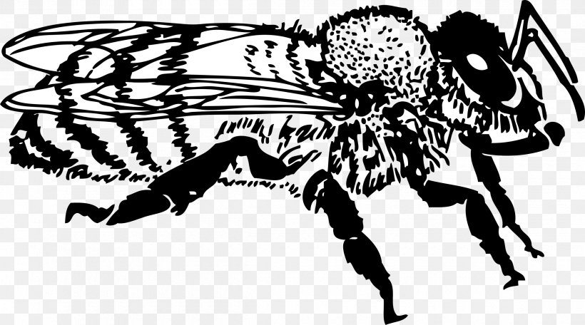 Honey Bee Clip Art, PNG, 2400x1336px, Bee, Art, Arthropod, Artwork, Beehive Download Free