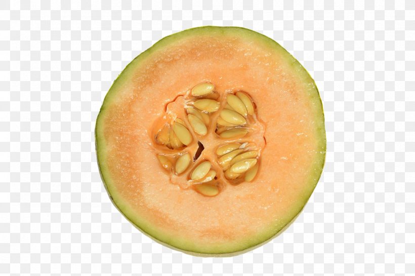 Honeydew Juice Cantaloupe Watermelon Cucumber, PNG, 1024x681px, Honeydew, Calabash, Cantaloupe, Cucumber, Cucumber Gourd And Melon Family Download Free