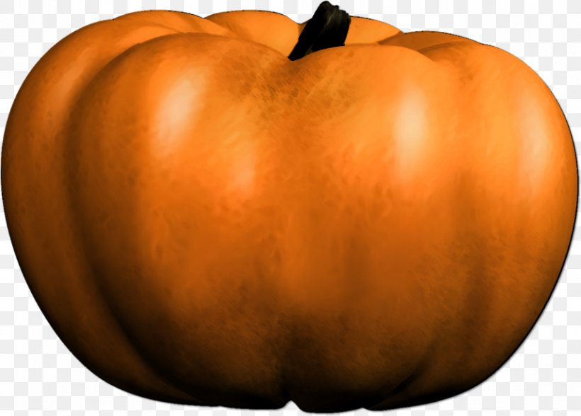Jack-o'-lantern Pumpkin Winter Squash Clip Art, PNG, 857x615px, Jacko Lantern, Apple, Calabaza, Cucurbita, Digital Image Download Free