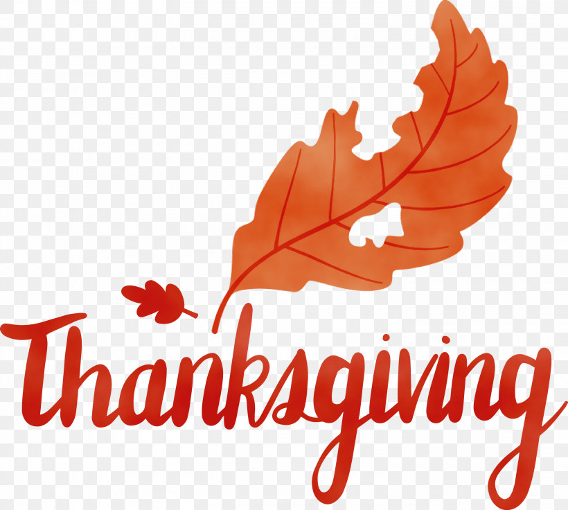 Maple Leaf, PNG, 3000x2694px, Thanksgiving, Biology, Flower, Leaf, Logo Download Free