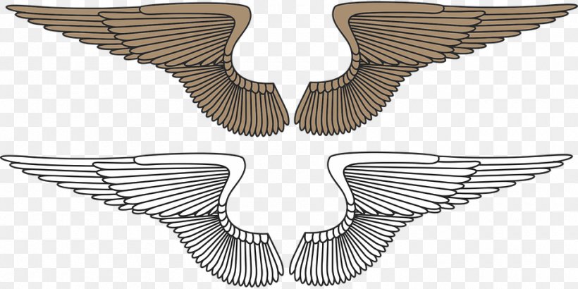 Wing Eagle Clip Art, PNG, 960x480px, Wing, Angel Wing, Beak, Bird, Bird Flight Download Free