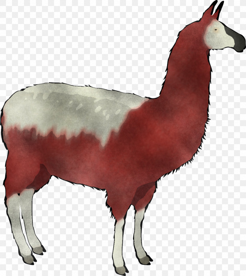 Llama, PNG, 1141x1280px, Llama, Alpaca, Camelid, Livestock, Wildlife Download Free