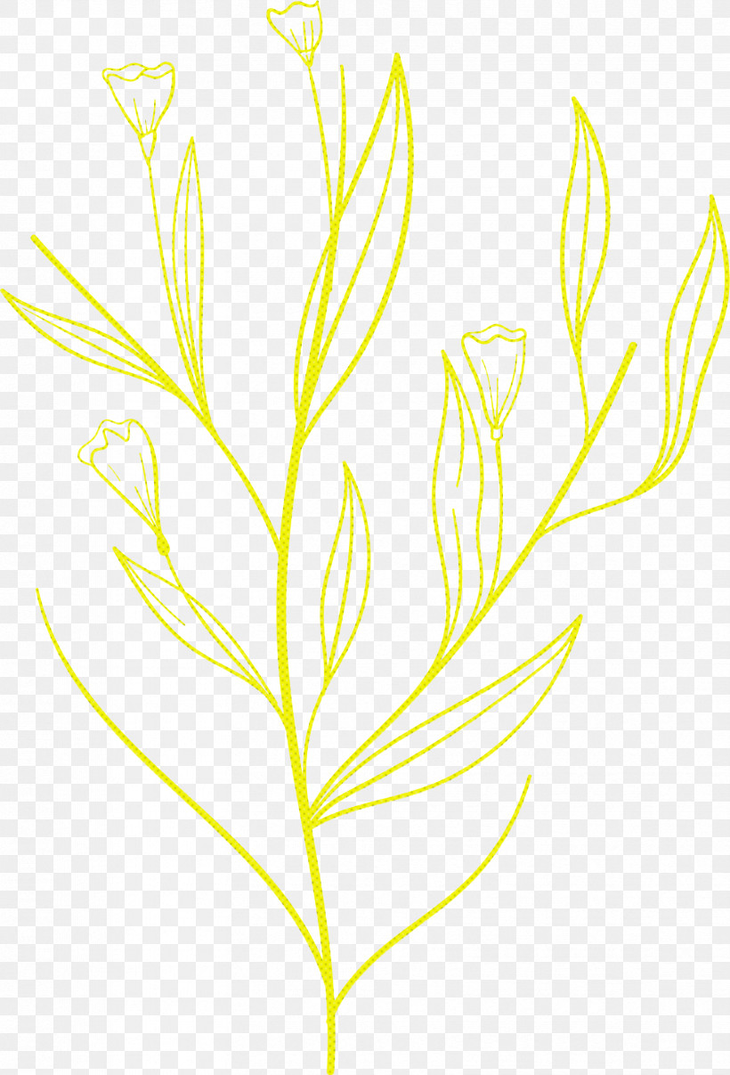 Simple Leaf Simple Leaf Drawing Simple Leaf Outline, PNG, 1659x2443px, Simple Leaf, Biology, Commodity, Flower, Grasses Download Free