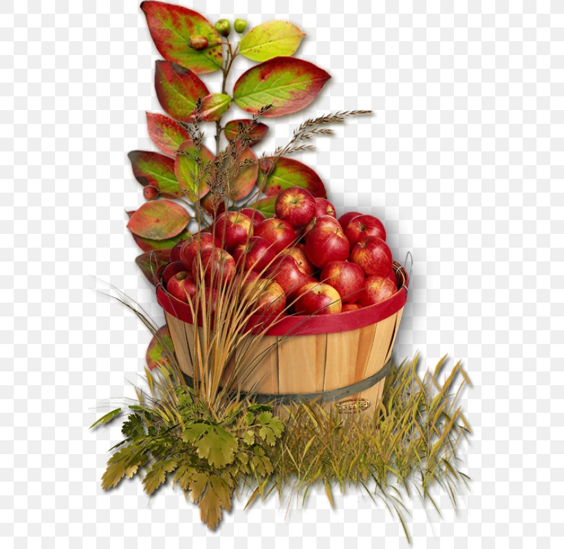 Apple Autumn Harvest, PNG, 564x798px, Apple, Auglis, Autumn, Food, Fruit Download Free