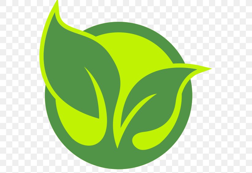Leaf Plant Stem Line Logo Clip Art, PNG, 563x563px, Leaf, Food, Fruit, Grass, Green Download Free