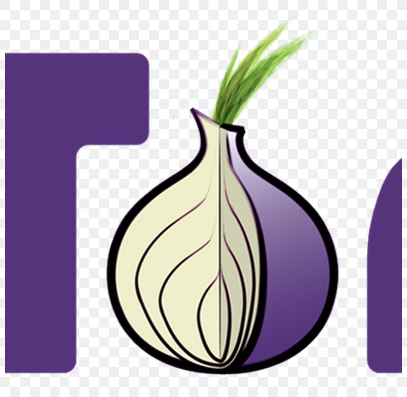 Tor Browser .onion Onion Routing Web Browser, PNG, 800x800px, Tor, Anonymity, Computer Network, Computer Servers, Computer Software Download Free