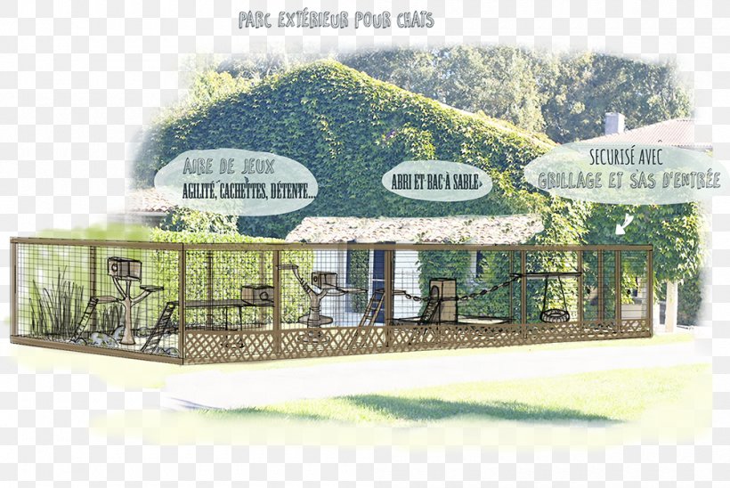 Cattery Kennel Chenil De La Conque Hautes-Alpes, PNG, 1000x669px, Cat, Cattery, Com, Cottage, Eating Download Free