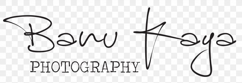 Logo Brand Line Angle, PNG, 2480x858px, Logo, Area, Black And White, Brand, Calligraphy Download Free