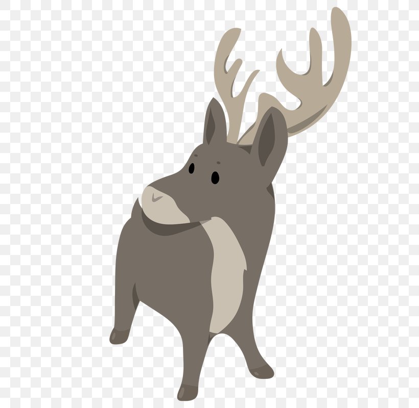 Reindeer Melville Island, PNG, 800x800px, Reindeer, Arctic, Arctic Wolf, Canidae, Cartoon Download Free