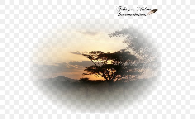 Serengeti Création Graphique Landscape Desktop Wallpaper Book, PNG, 600x500px, Serengeti, Africa, Book, Calm, Faline Download Free