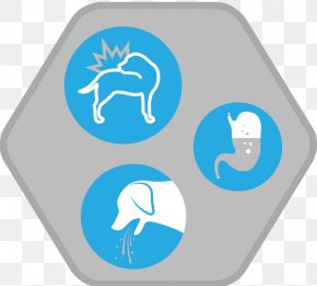 Allergy - Allergies In Dogs Allergy Immune System Atopy PNG