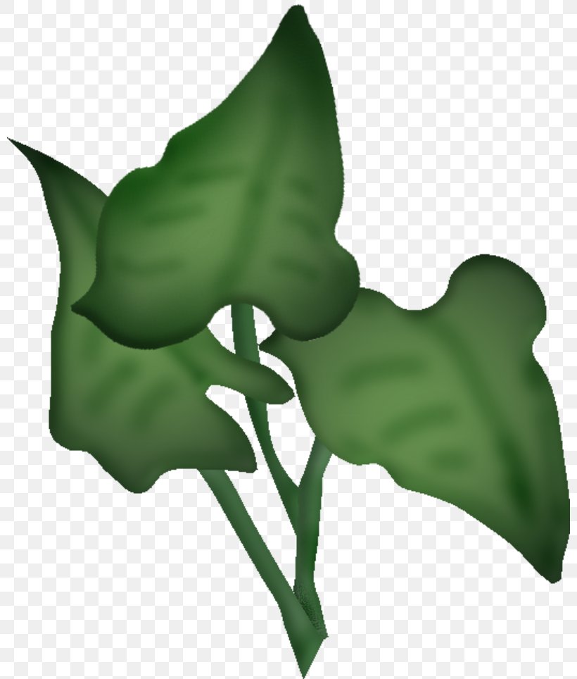Flower Leaf Petal Clip Art, PNG, 800x964px, Flower, Alismatales, Arum, Arum Family, Blog Download Free