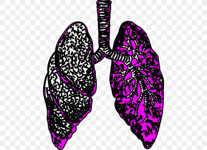 Lung Clip Art, PNG, 480x597px, Lung, Breathing, Bronchus, Heart, Human Body Download Free