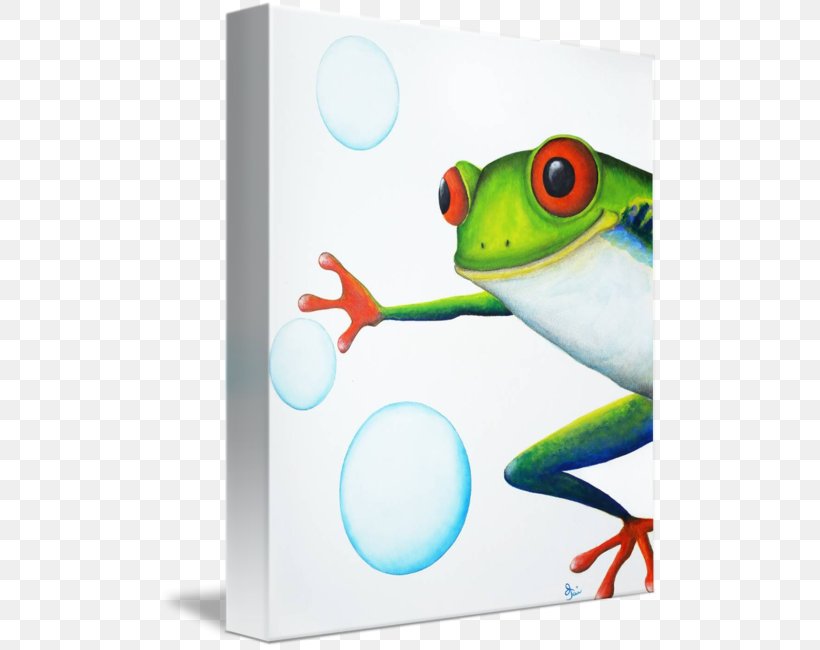Tree Frog, PNG, 500x650px, Tree Frog, Amphibian, Frog, Organism, Tree Download Free