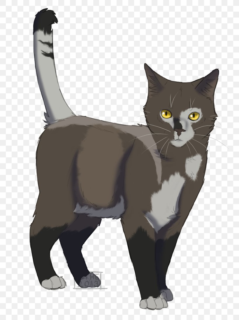 Whiskers Kitten Domestic Short-haired Cat Black Cat, PNG, 772x1098px, Whiskers, American Wirehair, Black Cat, Brambleclaw, Carnivoran Download Free