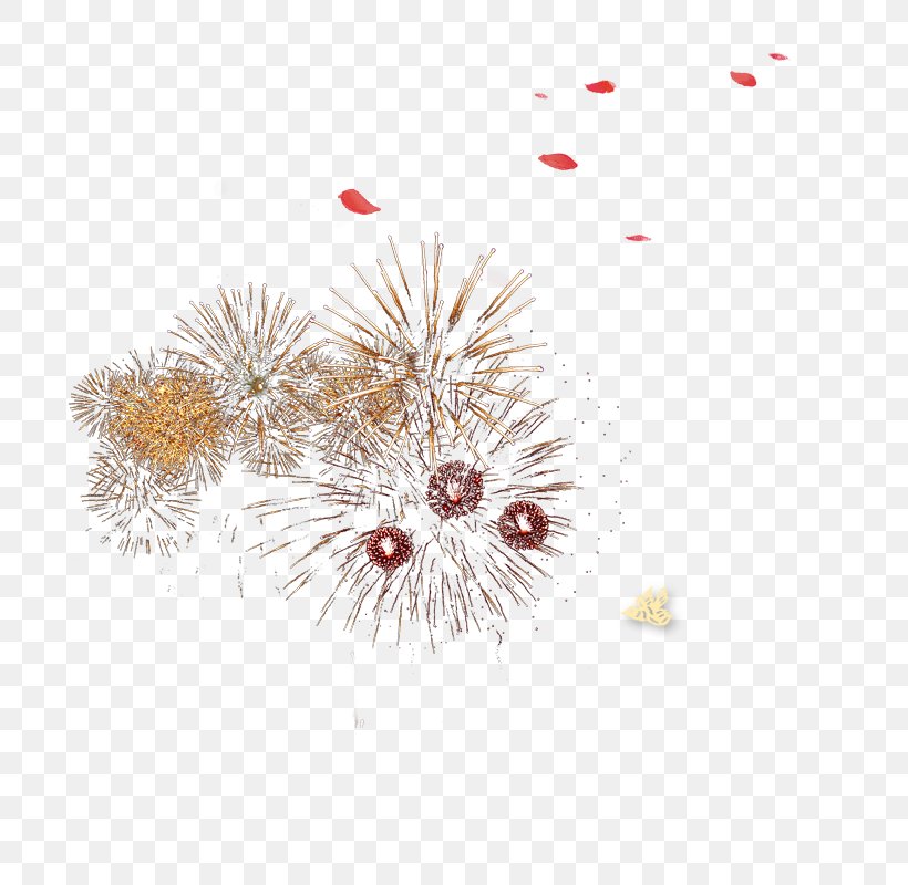 Fireworks, PNG, 800x800px, Fireworks, Drawing, Flower, Gratis, Petal Download Free