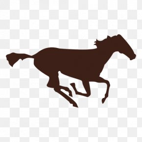 Sequence Vector - The Horse In Motion Photography Clip Art PNG