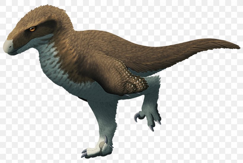 Utahraptor Velociraptor Proceratosaurus Cetiosaurus, PNG, 1000x673px, Utahraptor, Animal Figure, Beak, Bird, Ceratosaurus Download Free