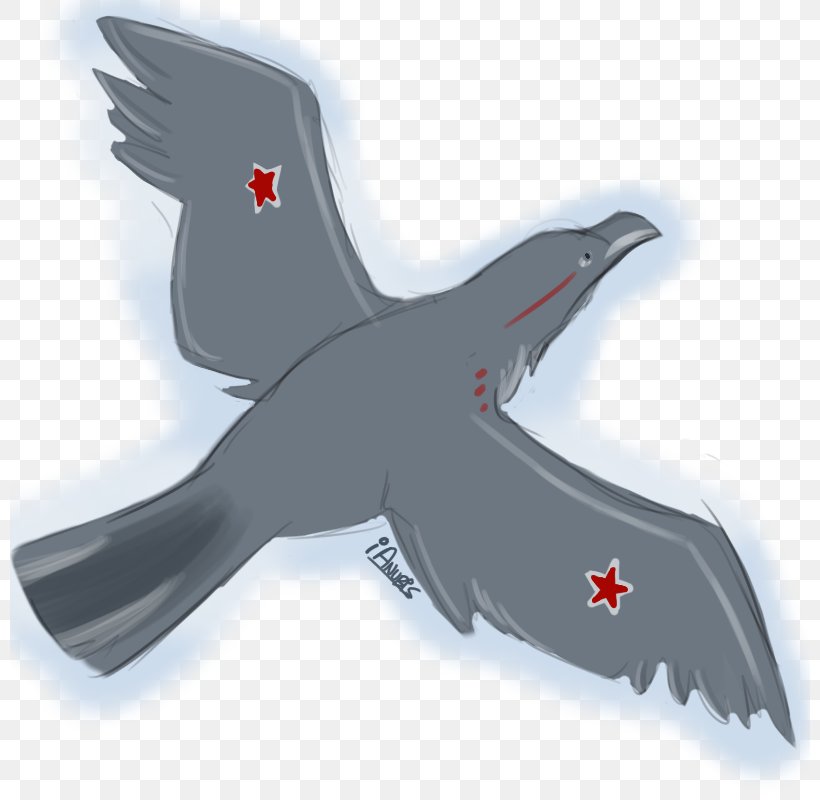 Bird Beak Animal, PNG, 800x800px, Bird, Animal, Beak, Wing Download Free