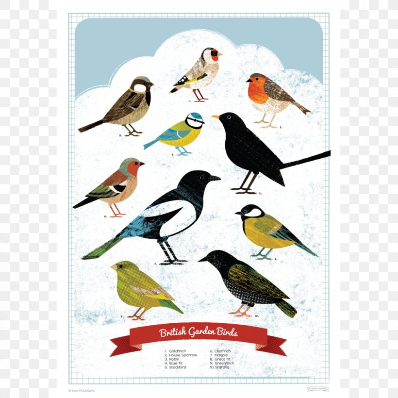 British Garden Birds Finch Poster Bird Feeders, PNG, 1000x1000px, Bird, Advertising, Art, Beak, Bird Feeders Download Free