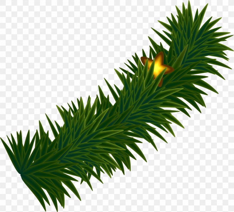 Green Google Images Icon, PNG, 3001x2720px, Green, Christmas, Conifer, Evergreen, Fir Download Free
